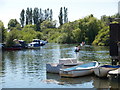 Boats on The River Frome above Abbots Quay