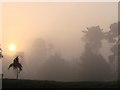 Sunrise on a foggy morning in August