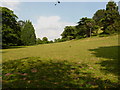 SJ7909 : Parkland in Weston Park by Richard Law
