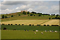 Farmland at Legars