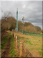 Mobile phone masts, Lodge Wood, Caerleon