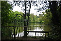 Intermediate Lake, Crystal Palace Park