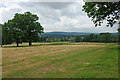 View towards Strood Green