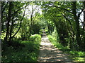 Bridleway west to Graffham