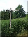 Taff-Ely Ridgeway Walk signpost, Caerphilly Common