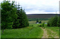 Looking Down the Hill from Mullachard