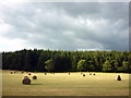 Hay field, Lanercost