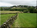 Pastures above Trawden Brook