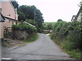 Road to Throwleigh Common