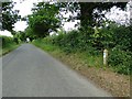 Road-side Nature Reserve