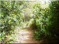 Right of way from Kilfinnan to Tighnabruaich