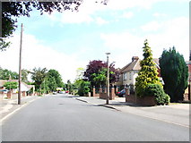 TQ7963 : Hempstead Road, Hempstead by Chris Whippet