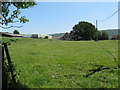 Silage bales at Woodcote Farm