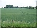 SP2844 : Warwickshire Farmland by Michael Dibb