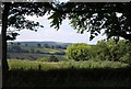 View through the trees above Week Farm