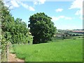 Fields looking towards the valley of the Holly Water