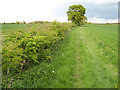 Bridleway to Fosse Way (2)