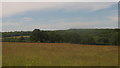 View of Cobhambury Wood