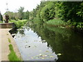 Basingstoke Canal near to Monument Bridge