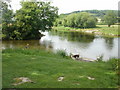 Builth Wells : confluence of the Irfon and Wye