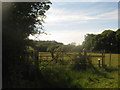 Footpath junction near Puckden Wood