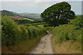 Minor road descending towards Llanilar