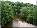 The Swale downstream of Mercury Bridge