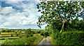 Lane near Rathfriland