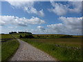 Track near Bushy Heath Farm looking towards Tides Low, in summer