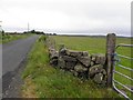 D2409 : Lisles Hill Road, Liknacolpagh by Kenneth  Allen