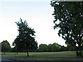 Wandsworth Common on a summer evening