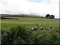 Ballynacoird Townland