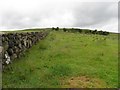 Ballynacoird Townland