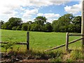 Aghnadore Townland