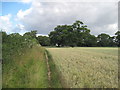 Looking north on Footpath