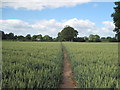 Footpath to Littleton Old Hall