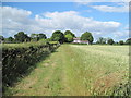 Footpath by Littleton Old Hall