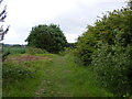 Footpath towards Trimley