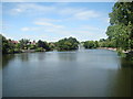 Fountain in the lake in Raphael Park, taken from Main Road bridge