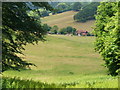 Dry Valley North-east of Hascombe