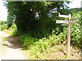 Mill Lane Signposts