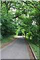 Single track roads descending Churchdown Hill