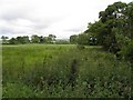 Loughloughan Townland