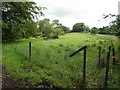 Linnstown Townland