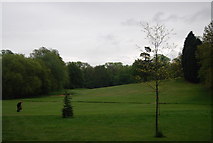 TQ3770 : Golf Course, Beckenham Place Park by N Chadwick