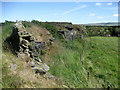 Disused Quarry, Winewall