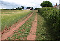 Footpath, Stogumber