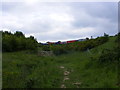 Railway embankment near Clickett Hill