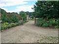 Driveway to South Hill Farm