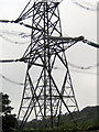 Electricity Pylon - Fishpond Bottom